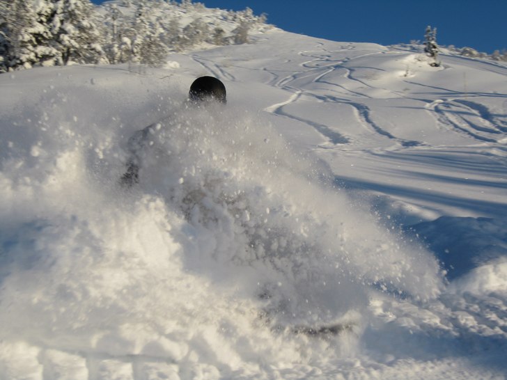 vecka 5/2010...gryyymt bra.. Foto: Peter Wede. Åkare: danne H.