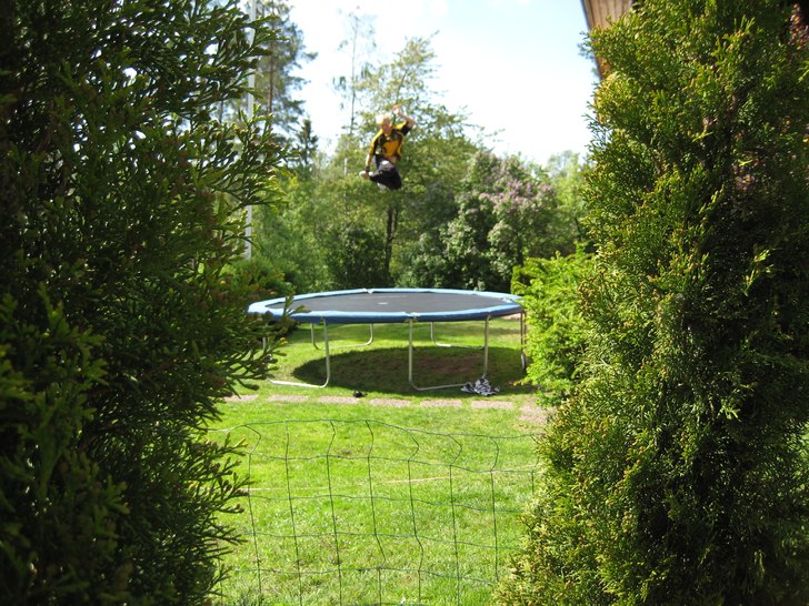 coolbild bara!. Foto: David L. Åkare: Mange.