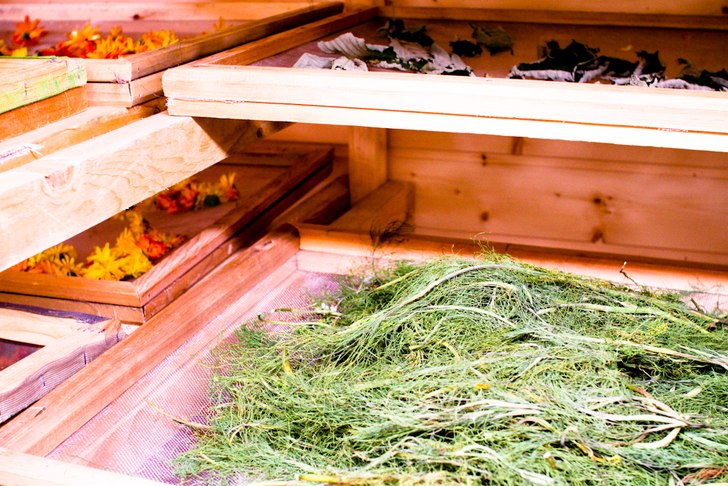 Foto: Christine Hargin.