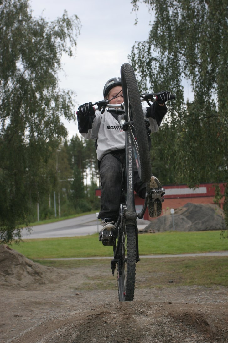 Abubaca. Foto: Viktor Boström. Åkare: Marcus Marklund.