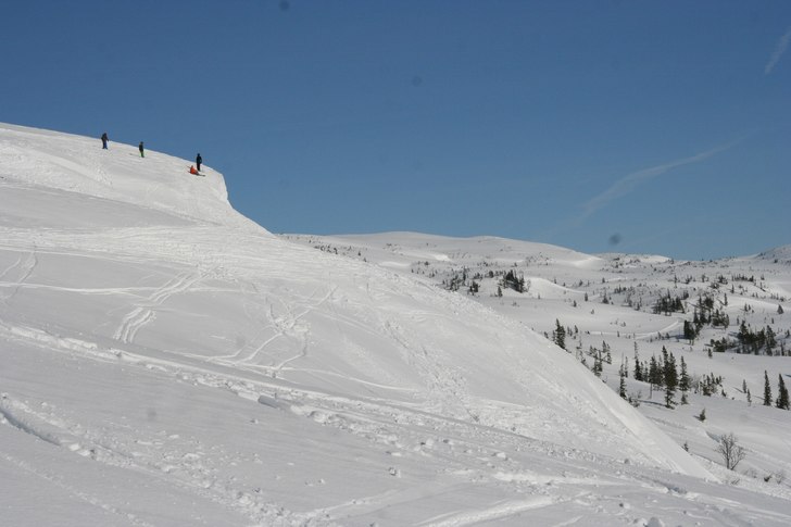 Det kom snø
Her har det kommet 5 cm nysnø i natt.