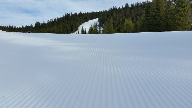 Klart for en ny dag
Vi går en strålende påske i.