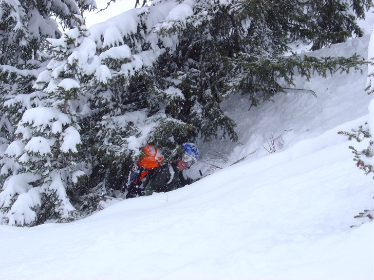 Hmmm, man hör vrålet innifrån skogen, bara att . Foto: Jonas Björklund. Åkare: Tomas Vujic.