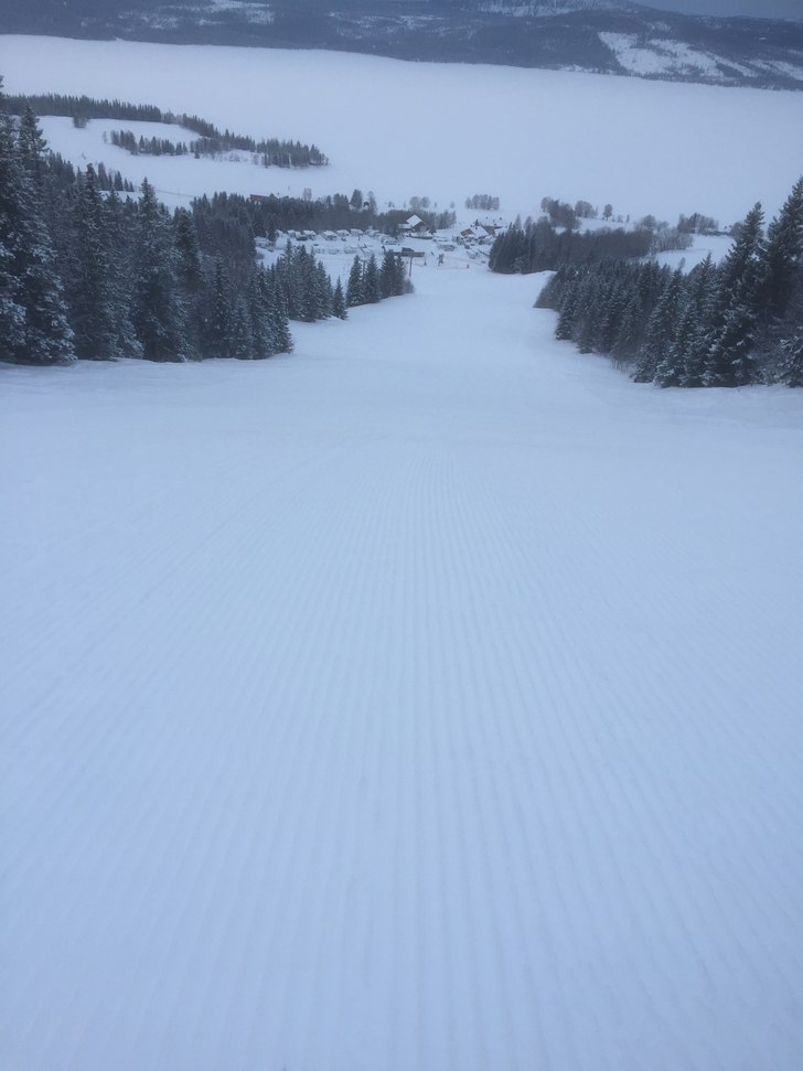 Topp forhold
Topp forhold i bakken idag⛷⛷?????.
