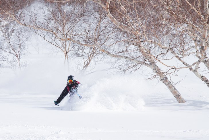 Nicole Lejdeby - Deep in Japan.