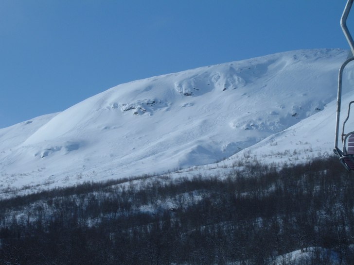 Foto: Daniel Söderholm.