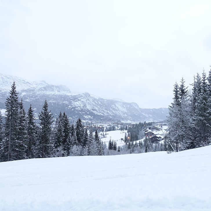 Fine forhold i bakkene
Nysnø og fine forhold i He.