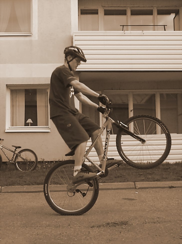 Foto: magnus wiklund. Åkare: lars wiklund.