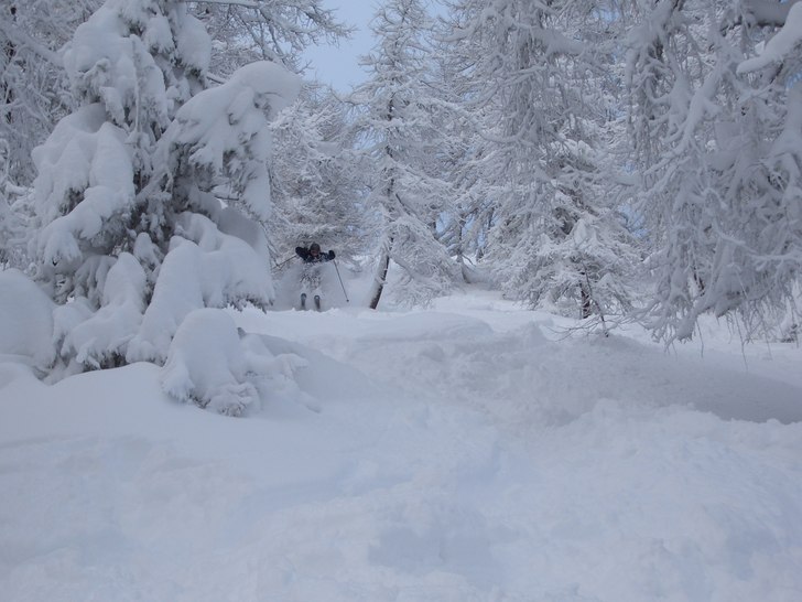 De va ganska bra den dagen. Foto: Kroon. Åkare: Haldemar.
