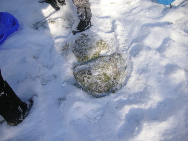 Dom här två stenarna knäckte jag svankskotan p�. Foto: Nealsson.