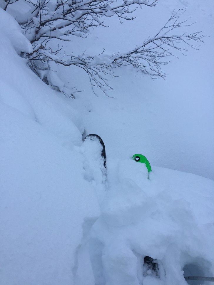 Snødump
Slusene har åpnet seg og gitt oss en vel.