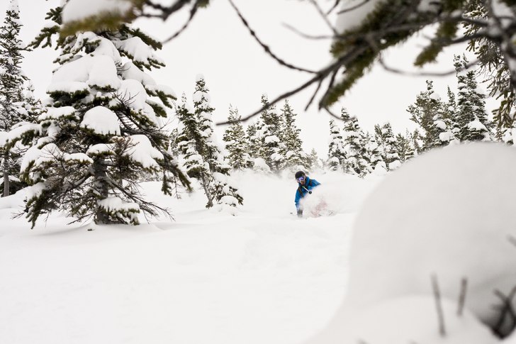 Shreeddd the gnarrrr. Foto: Per Nyberg. Åkare: Emil "Jon Larsson" Davidsson.