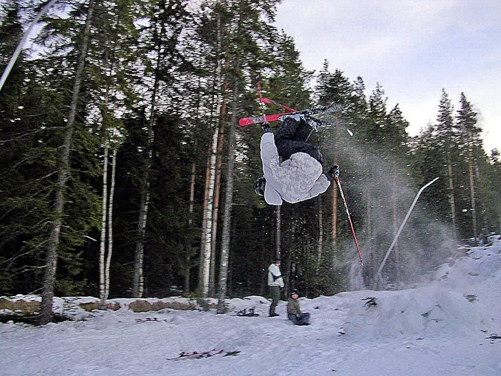 Romme. Foto: Robin Eriksson. Åkare: Andreas sörli.