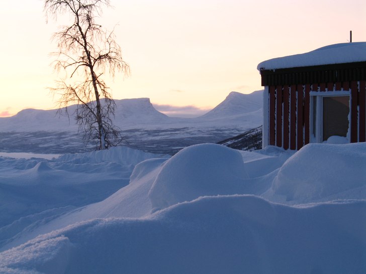 Underbara Björkliden strax utanför stugan med ru. Foto: Erik Thorsell.
