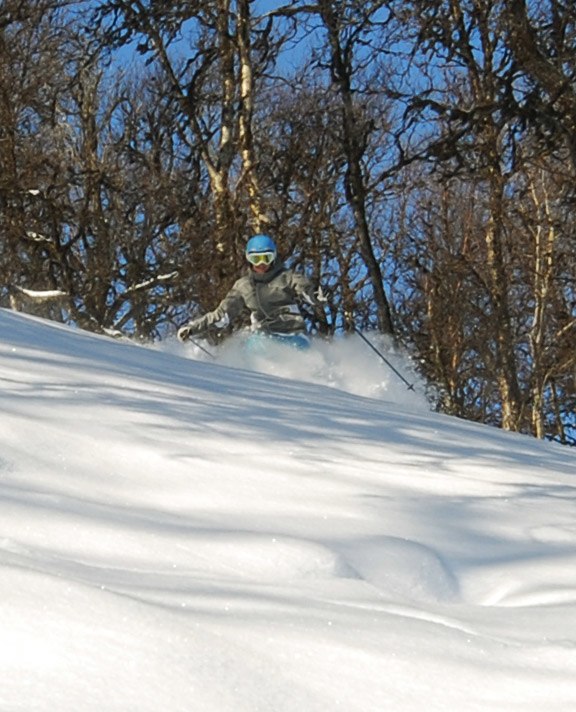 Foto: Johan Olsson. Åkare: Hanna Skogsberg.