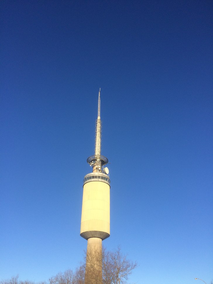 Skyfritt i tigerstaden, men det blåser!
.