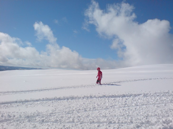 Ella provar puder, men det lutar lite för klent f. Foto: Gert Anderzen. Åkare: Ella Anderzen.