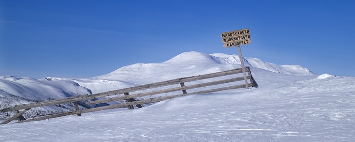 Foto: Patrik Brynielsson.