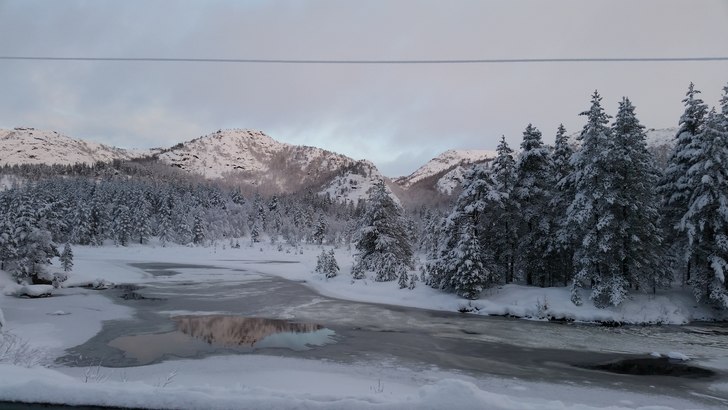 Stengt i dag tirsdag
Trekket er dessverre stengt i.