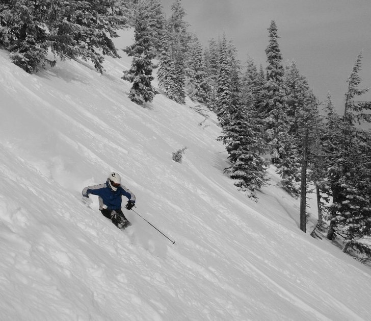 Bra lutning och fin skogsskidåkning.. Foto: Gustav. Åkare: Max Larsson.