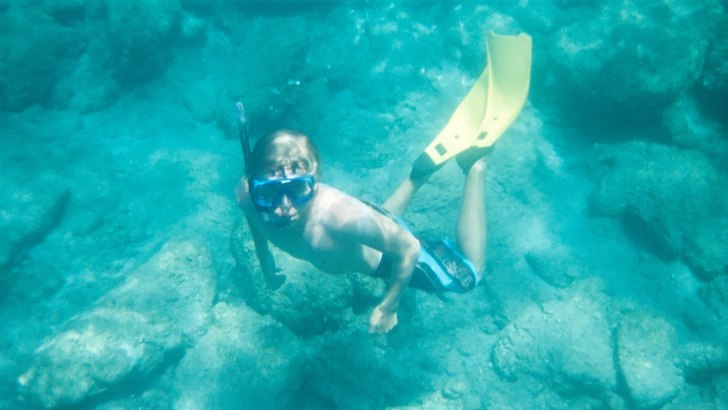 turkiet. Foto: Stefan Svensson. Åkare: Kristoffer Svensson.