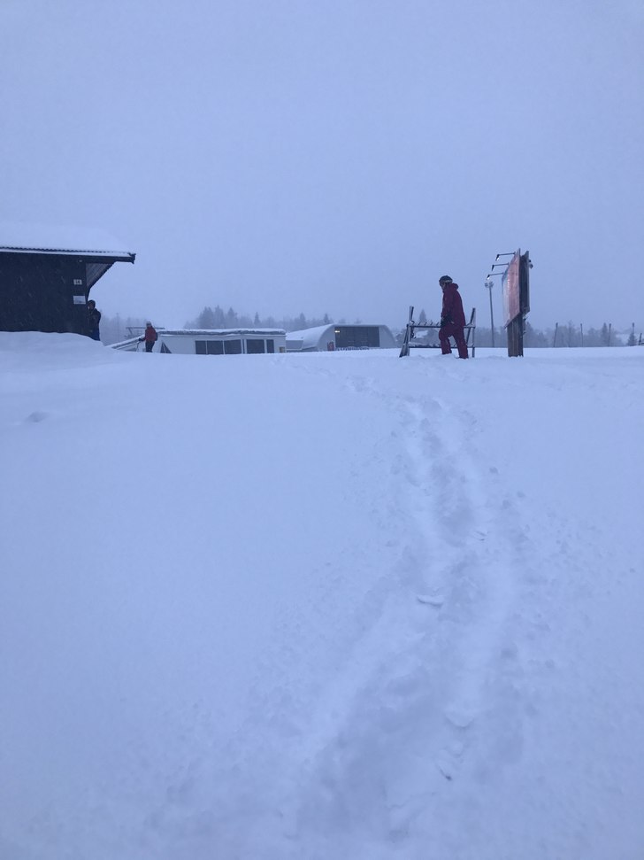 Nysnø og det snør fortsatt ????
.