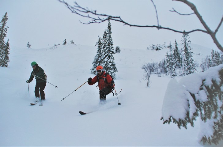 Vinterferie og nysnø
Forholdene er perfekte nå. .
