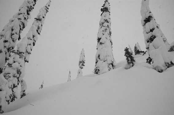Det är bra med snö i Kanada. 
ÅK DIT!!!. Foto: Mats Nyström. Åkare: Eigil.