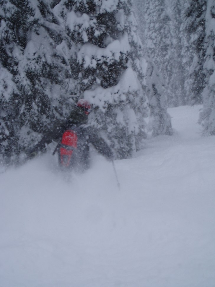 Foto: Stina Stenquist. Åkare: Ulf Nordstrand.
