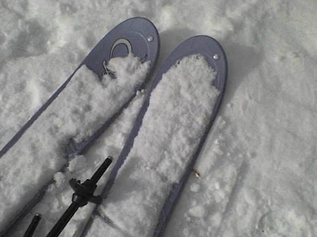 Min supersnygga nya skidor <3
. Foto: Sara . Åkare: Sara.