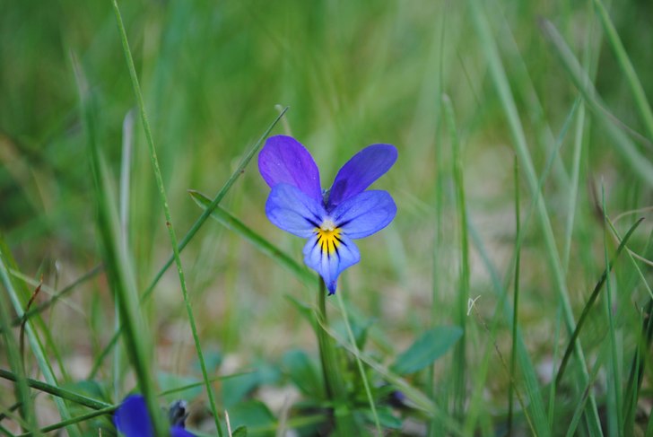 Foto: Linn Östlund.