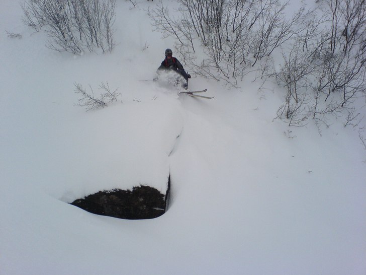 Foto: Magnus Jönsson. Åkare: Mikael Jönsson.