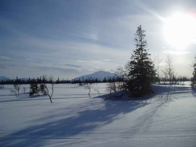 Längs en skidtur kring åre. Foto: Okänd Vän.