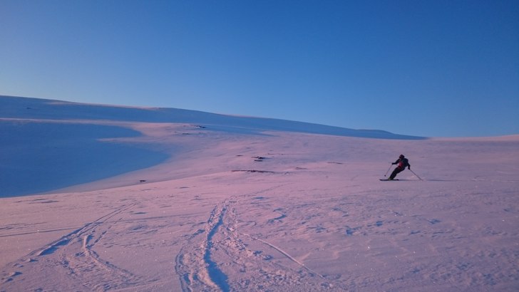 Cruising above the tree-limit.. Foto: Simon Paulin.