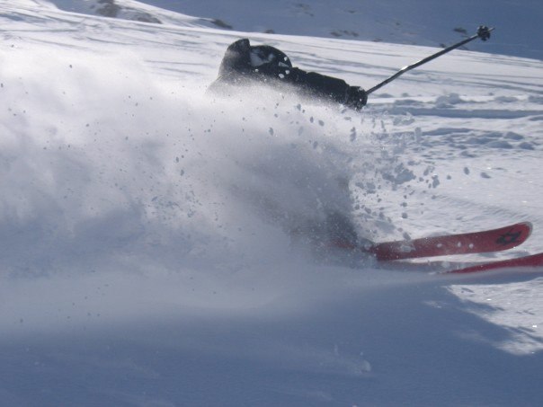 Foto: Danielle Hansson. Åkare: daniel qviberg.