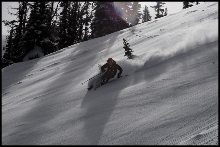 Fastnade lite för eftermiddagsskuggorna i skogen . Foto: Erik Pernestam (www.pernestam.se). Åkare: Johan Olofsson.