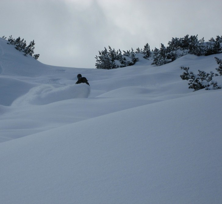 Foto: Herman. Åkare: Christer Hällare.
