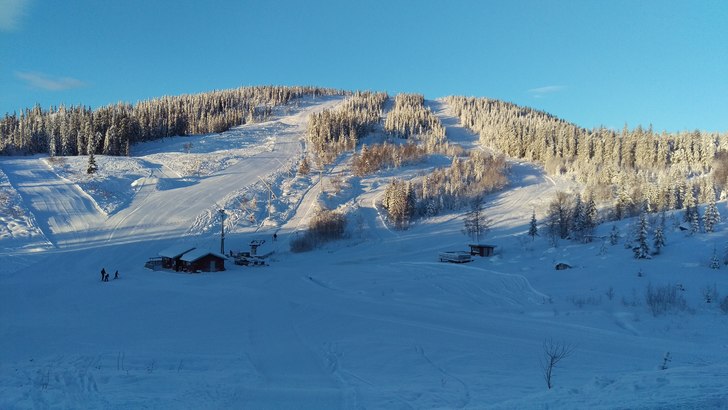 Ny dag, nye muligheter!
Solen skinner over oss her.