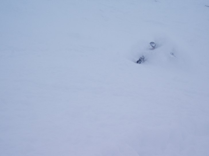 Foto: Susanne Attskog. Åkare: Patrik Attskog.