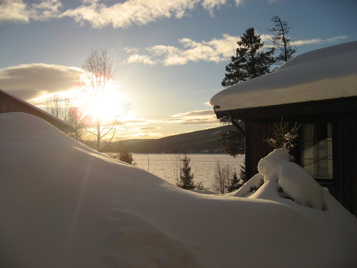 Foto: Johnny Nilsson.