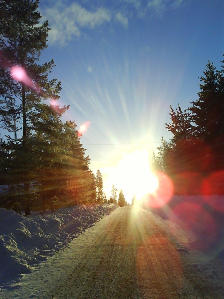 Foto: Andraes Johansson.