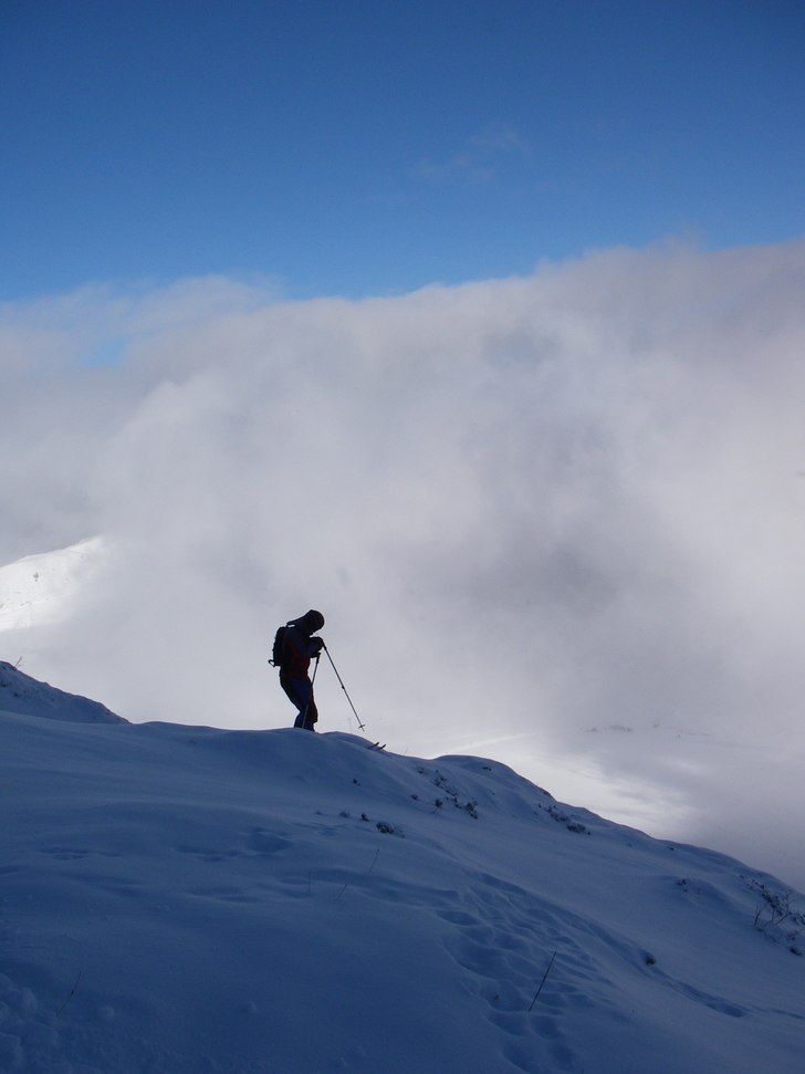 Foto: Malin suneson. Åkare: björn.