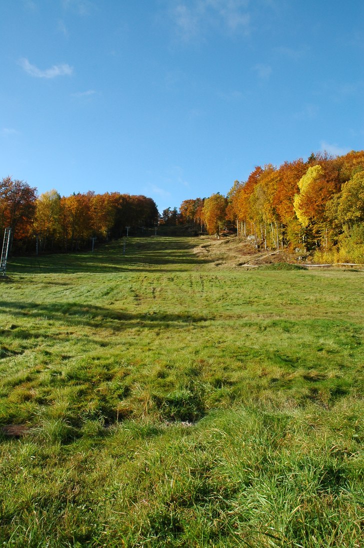 Höst i Vånga. Foto: Anton Jensen.