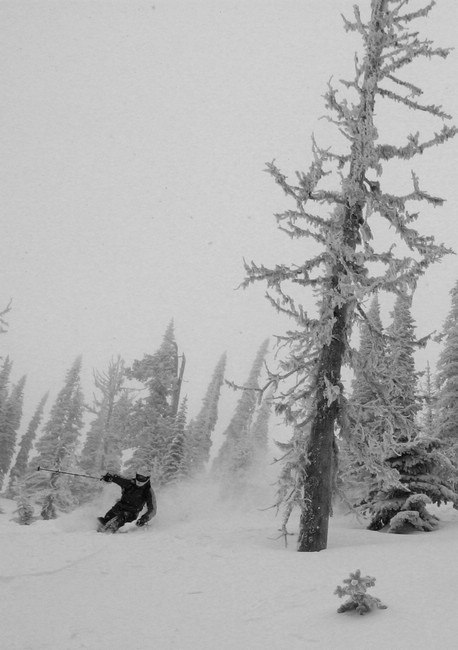 Lite skön skogsskidåkning i Fernie Backcountry. Foto: Jens. Åkare: Max Larsson.