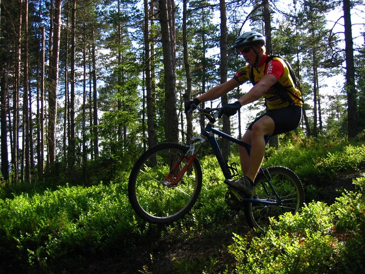 Ett litet men soft wheele drop. Foto: Tobbe "Bus" Aldén. Åkare: Peter Withfeldt.