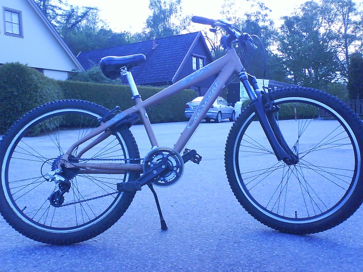 Foto: miiin biiiiike.