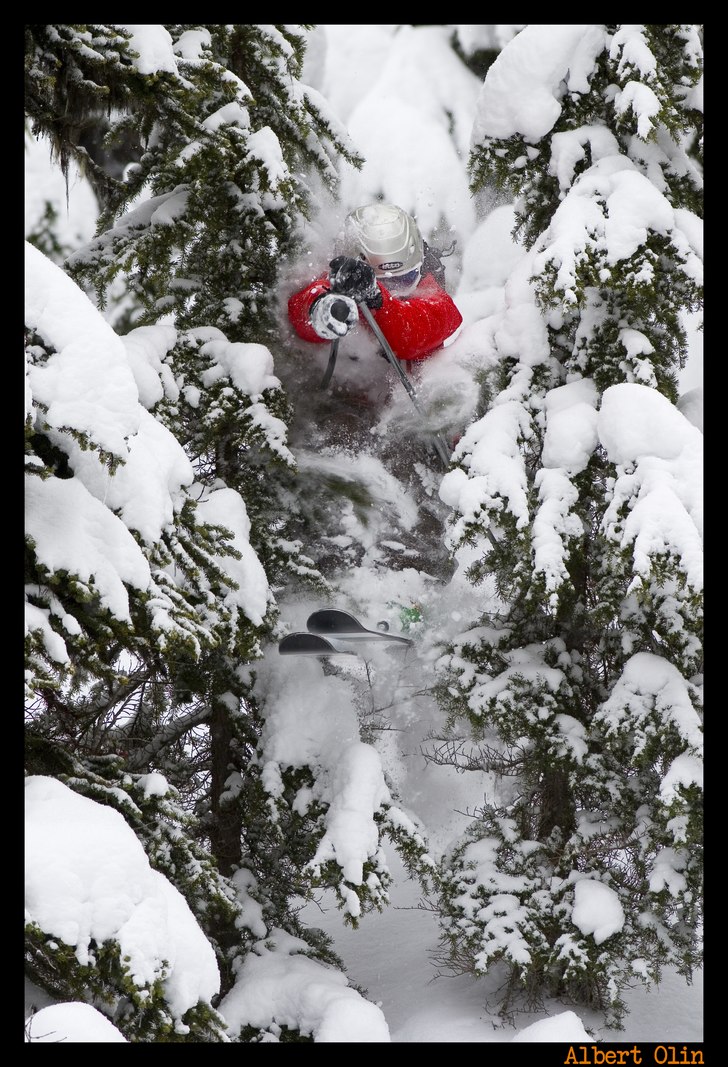 Smashar träd i Khybers pass. Foto: Albert Olin. Åkare: David Karlsson.
