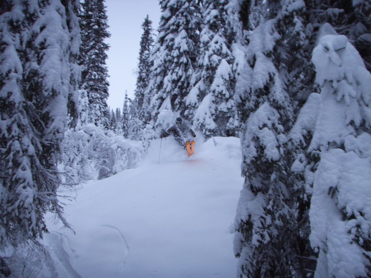 31 oktober. Foto: Ida Forsberg. Åkare: erik.s.