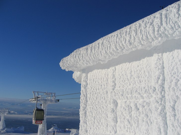 Härlig bild från en av de första vårdagarna vi. Foto: Erik.