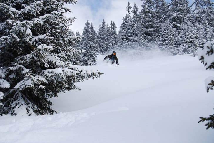 Foto: Kalle Rydberg. Åkare: Anders Olofsson.